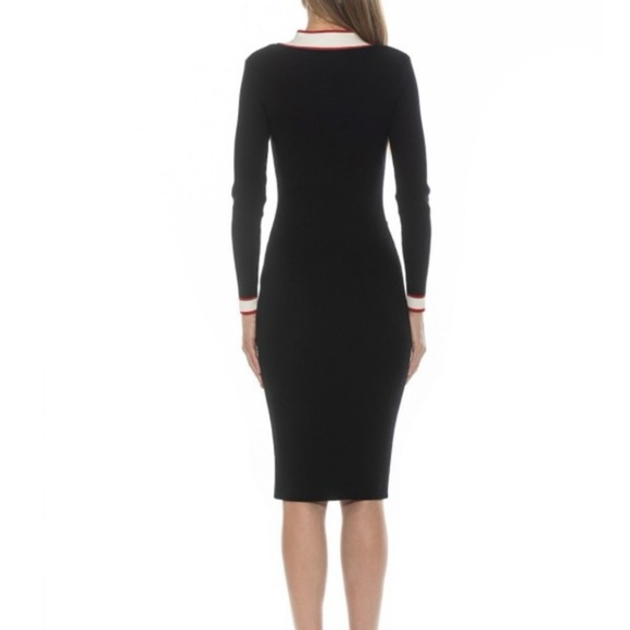 ALEXIA ADMOR Janet V-Neck Button-Front Knit Dress - Picture 4 of 6